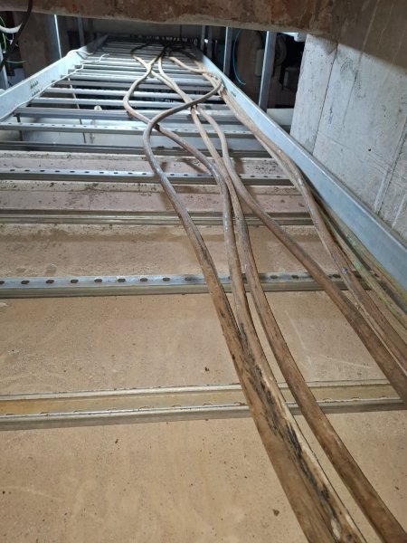 WhatsApp Image 2026-03-09 at 19.28.10 (2).jpeg