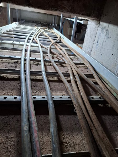 WhatsApp Image 2026-03-09 at 19.28.10 (3).jpeg